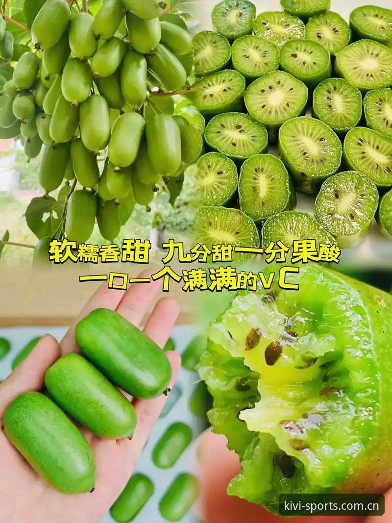 奇异果体育官网 奇异果体育官网实用指南:从下载安装到赛事数据查询的必备知识