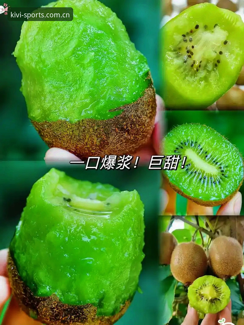 奇异果体育官网 奇异果体育官网实用指南:从下载安装到赛事数据查询的必备知识
